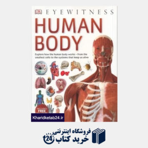 کتاب Human Body 3618
