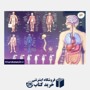 کتاب آناتومی بدن انسان (پوستر)