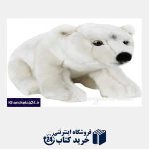 کتاب خرس قطبی Orso Polare 770723