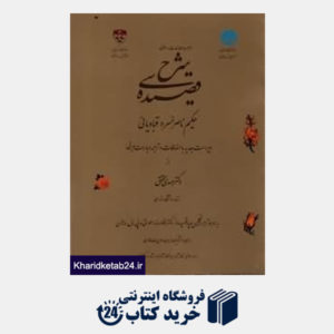 کتاب شرح سی قصیده از دیوان ناصر خسرو