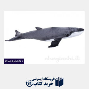 کتاب وال Whale 770729