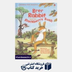 کتاب Brer Rabbit (Usborne First Reading) 6703