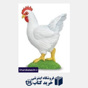 کتاب Chicken 160229