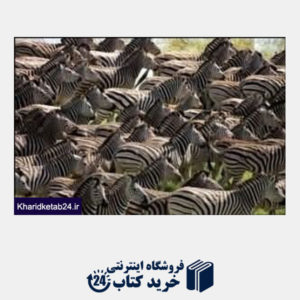 کتاب Herd Of Zebras 14138