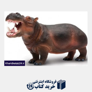 کتاب Hippopotamus 229029