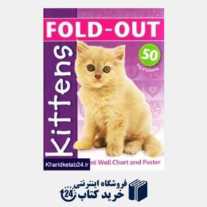 کتاب Kittens Fold out