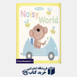 کتاب Noisy World