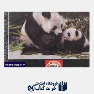 کتاب Panda Bears 13768