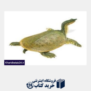 کتاب Soft Shell Turtle 160605