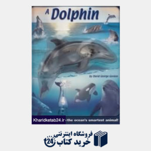 کتاب Uncover a Dolphin