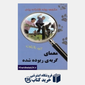 کتاب معمای گربه ربوده شده